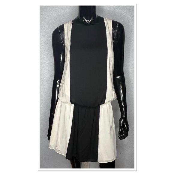 ALICE & OLIVIA 100% Silk Dress Sz XS Black and Cream - Picture 3 of 8